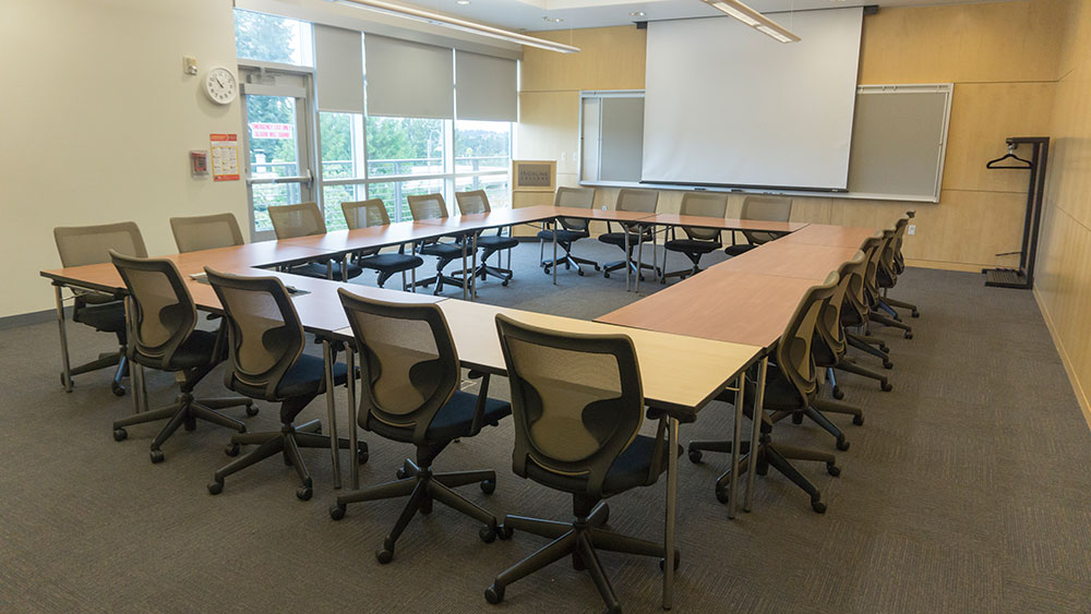 projector screen